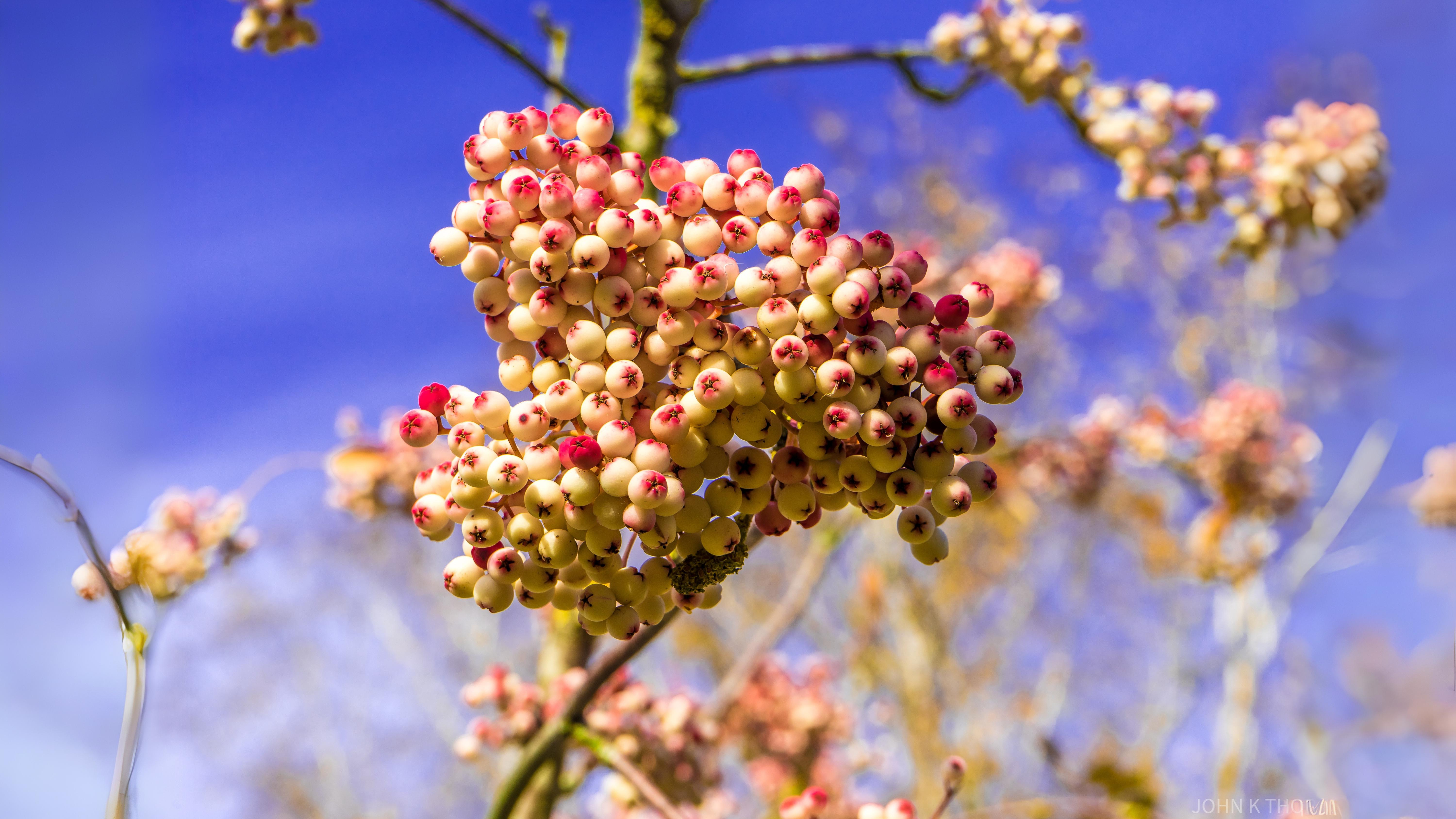 12-Oct October's Jewels Section Image