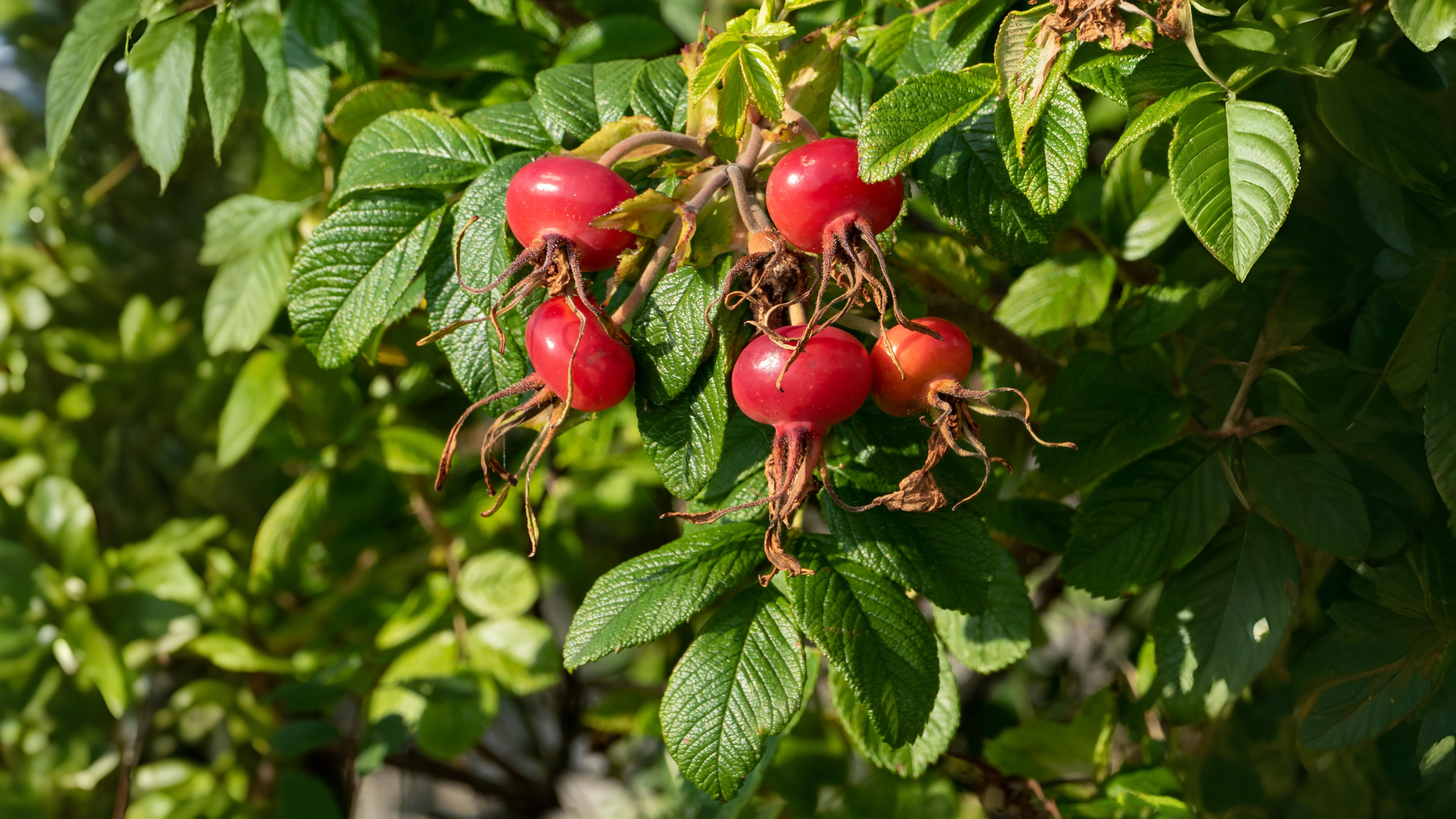 12-Oct October's Jewels Section Image