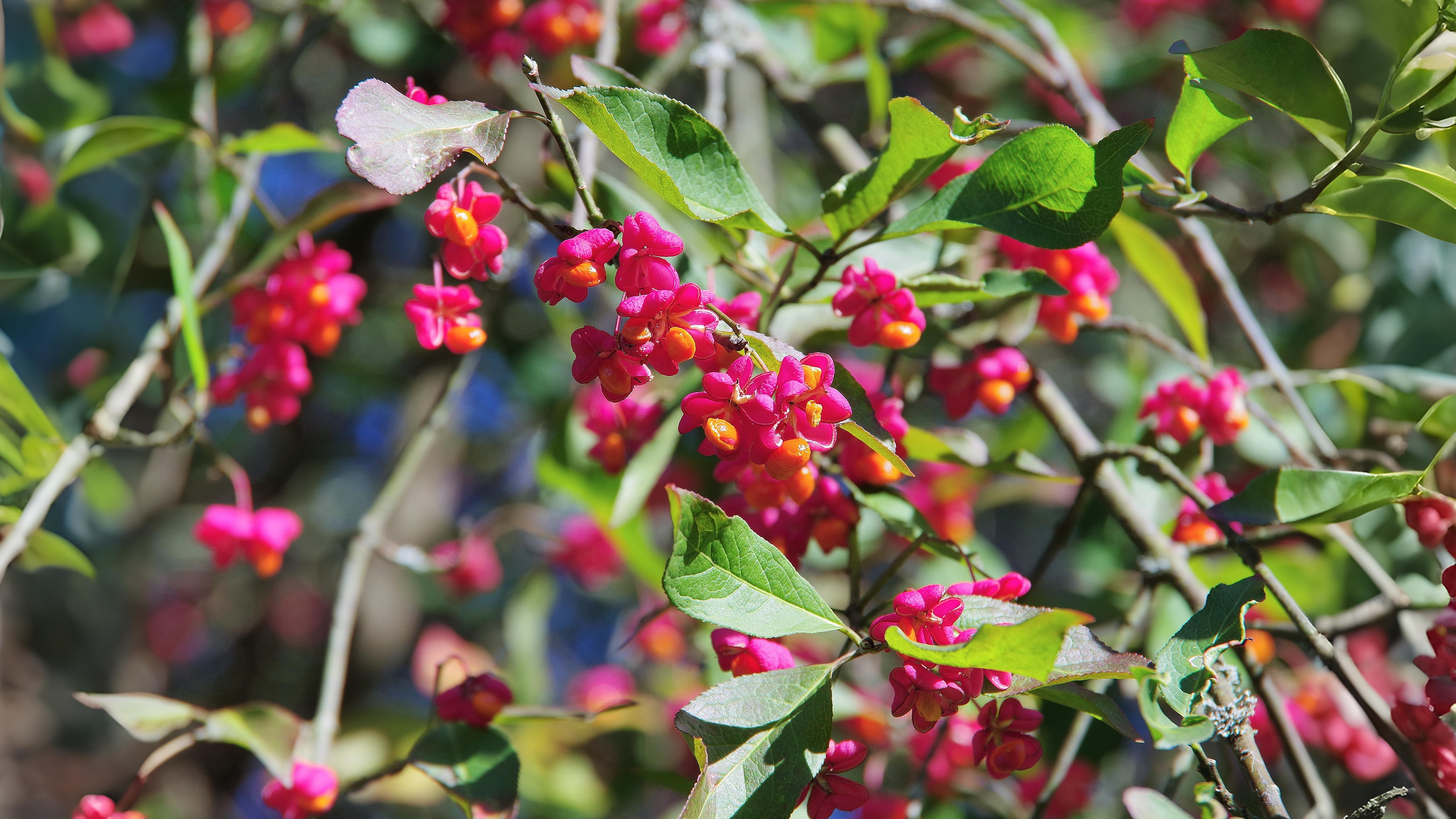 12-Oct October's Jewels Section Image