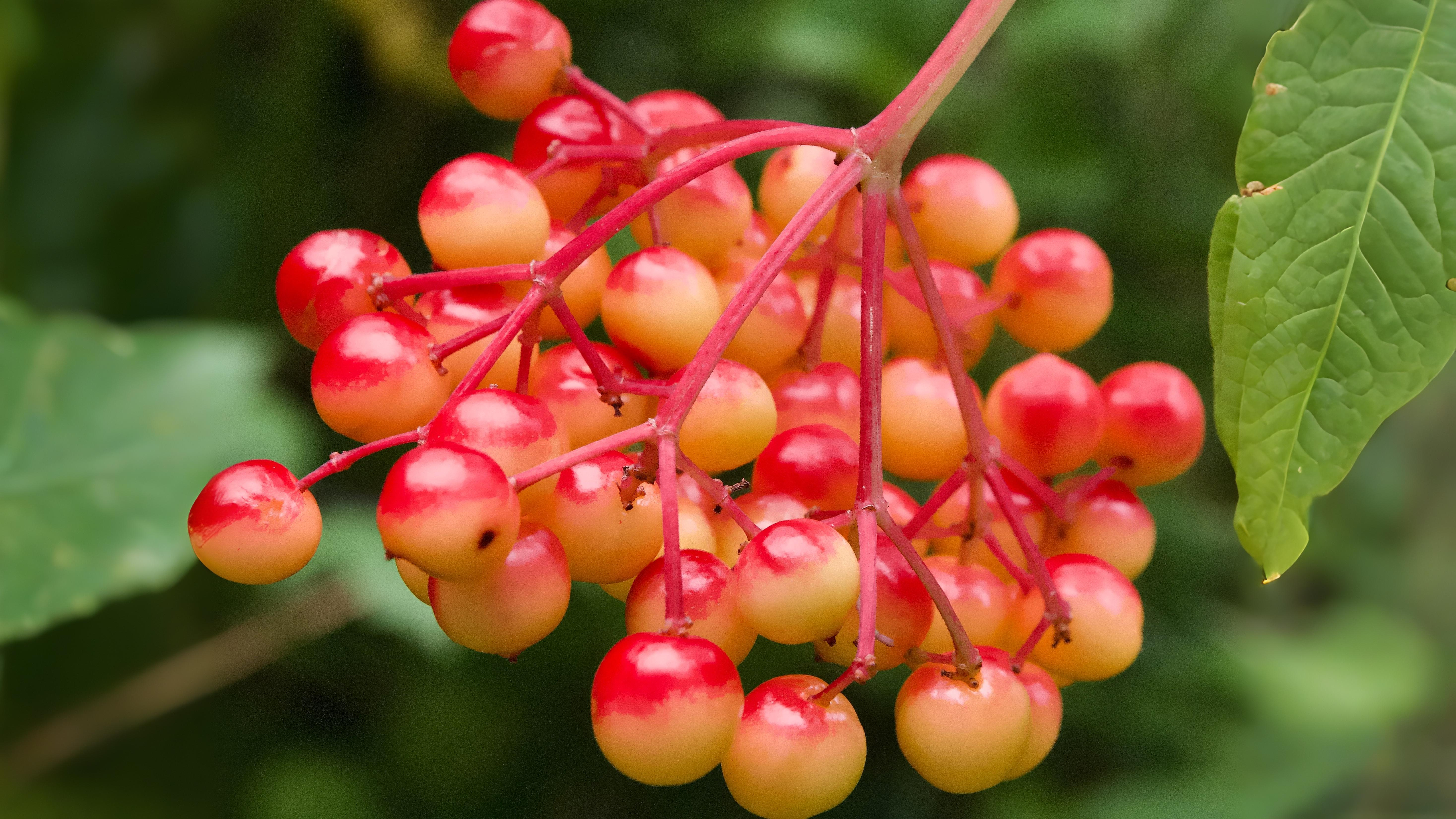 12-Oct October's Jewels Section Image