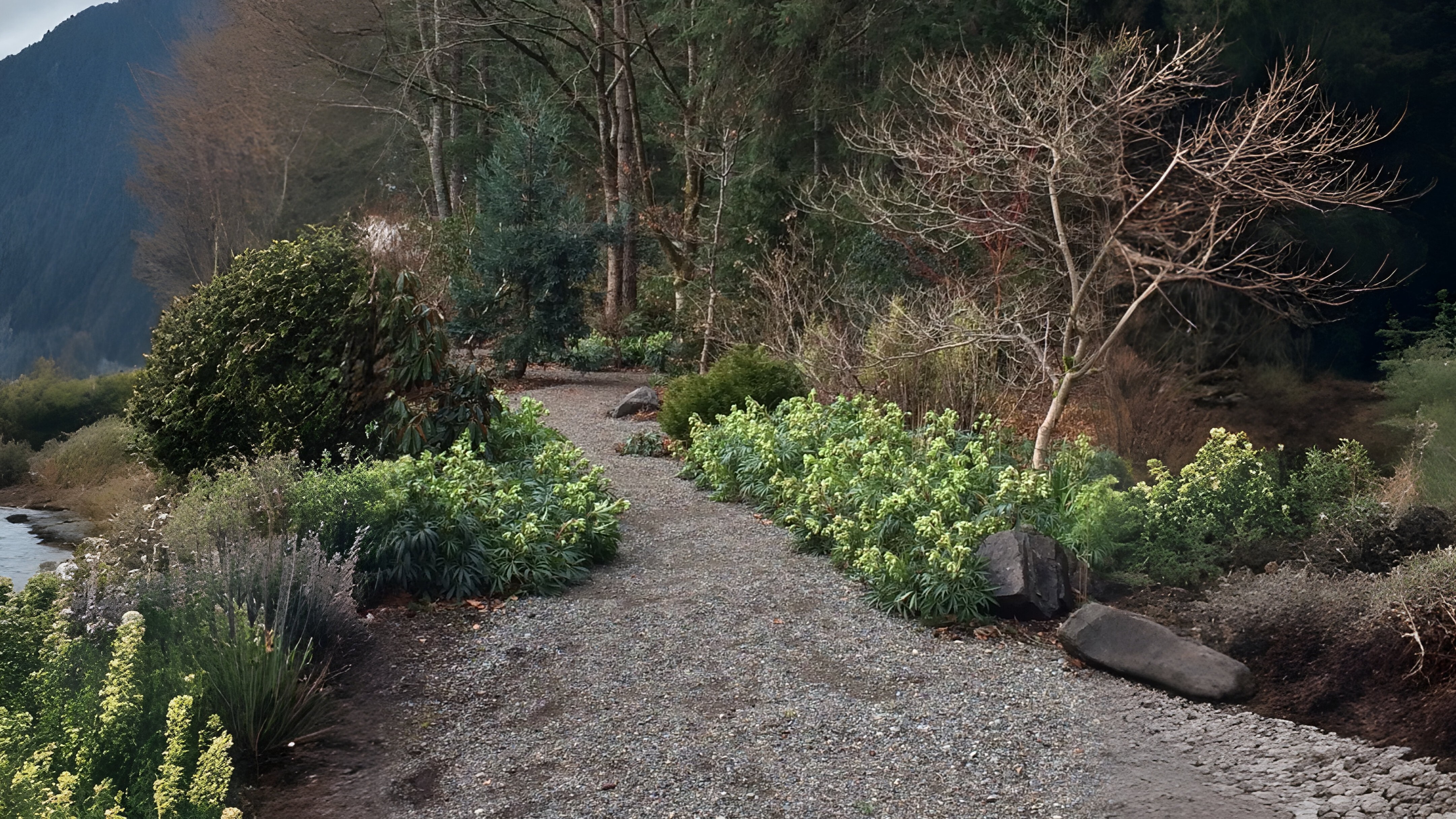 21-Mar Blooms, Blues, and Botanicals Section Image