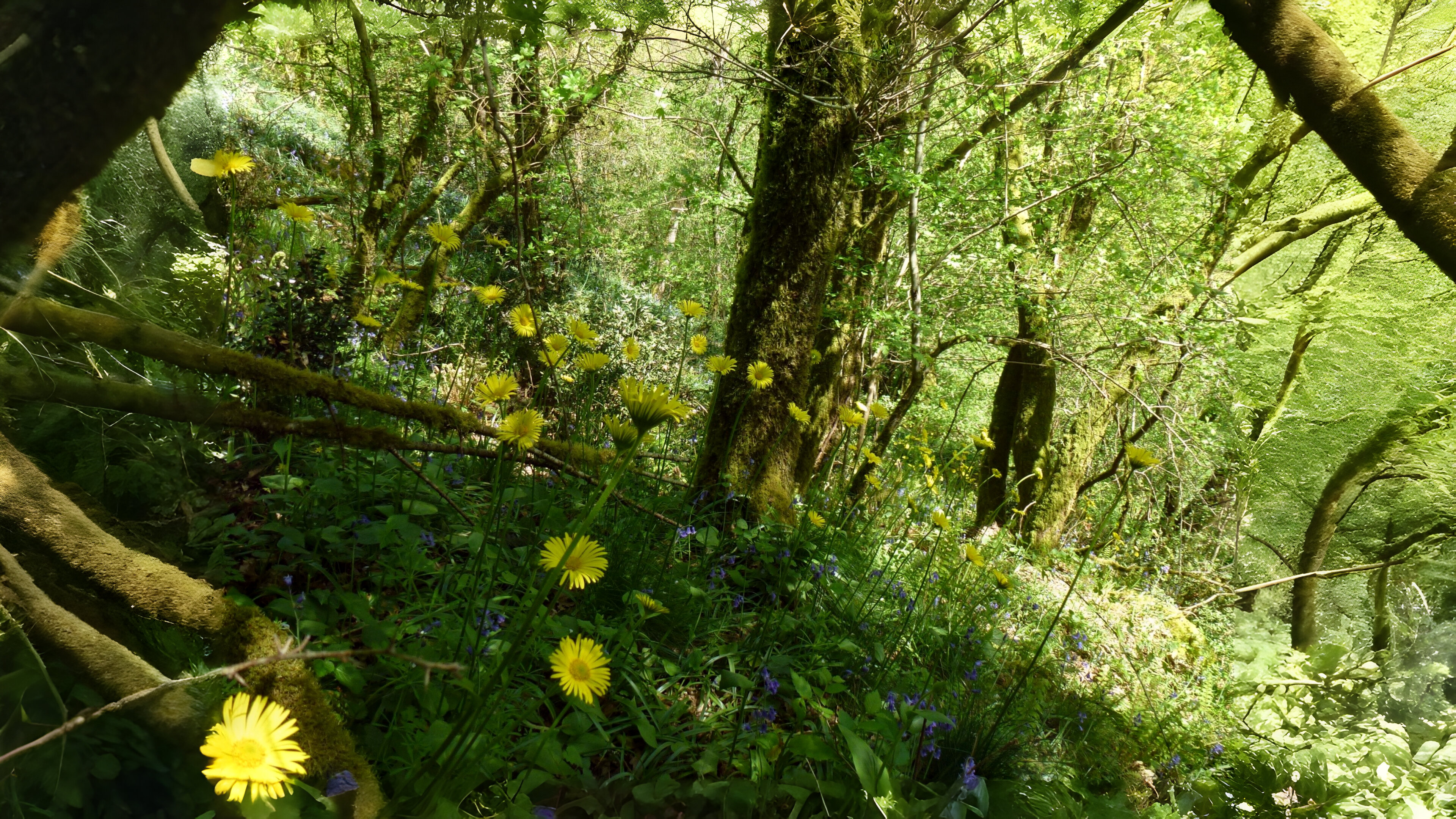 21-Mar Blooms, Blues, and Botanicals Section Image