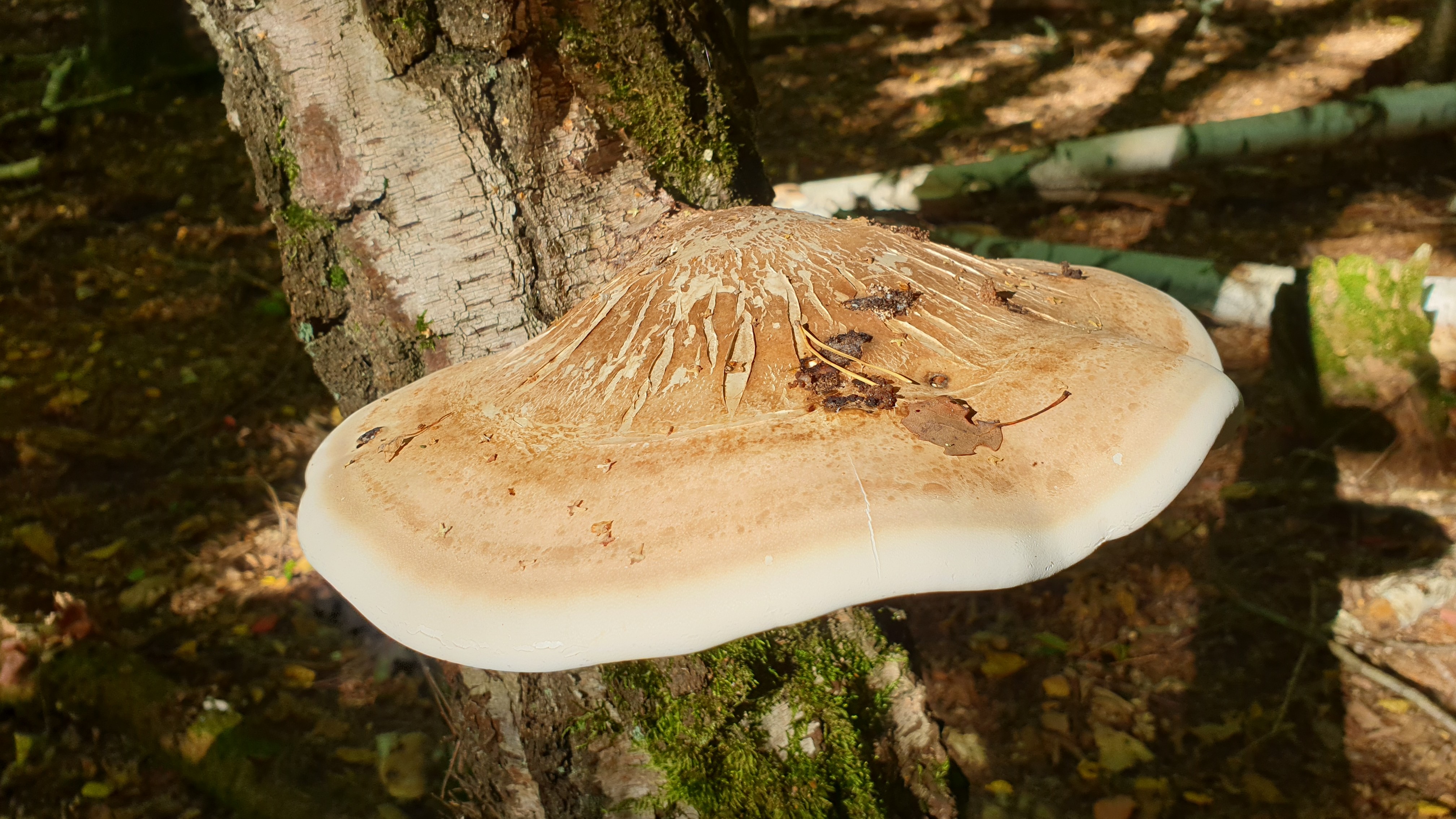 25-Feb Winter's Hidden Wonders Section Image