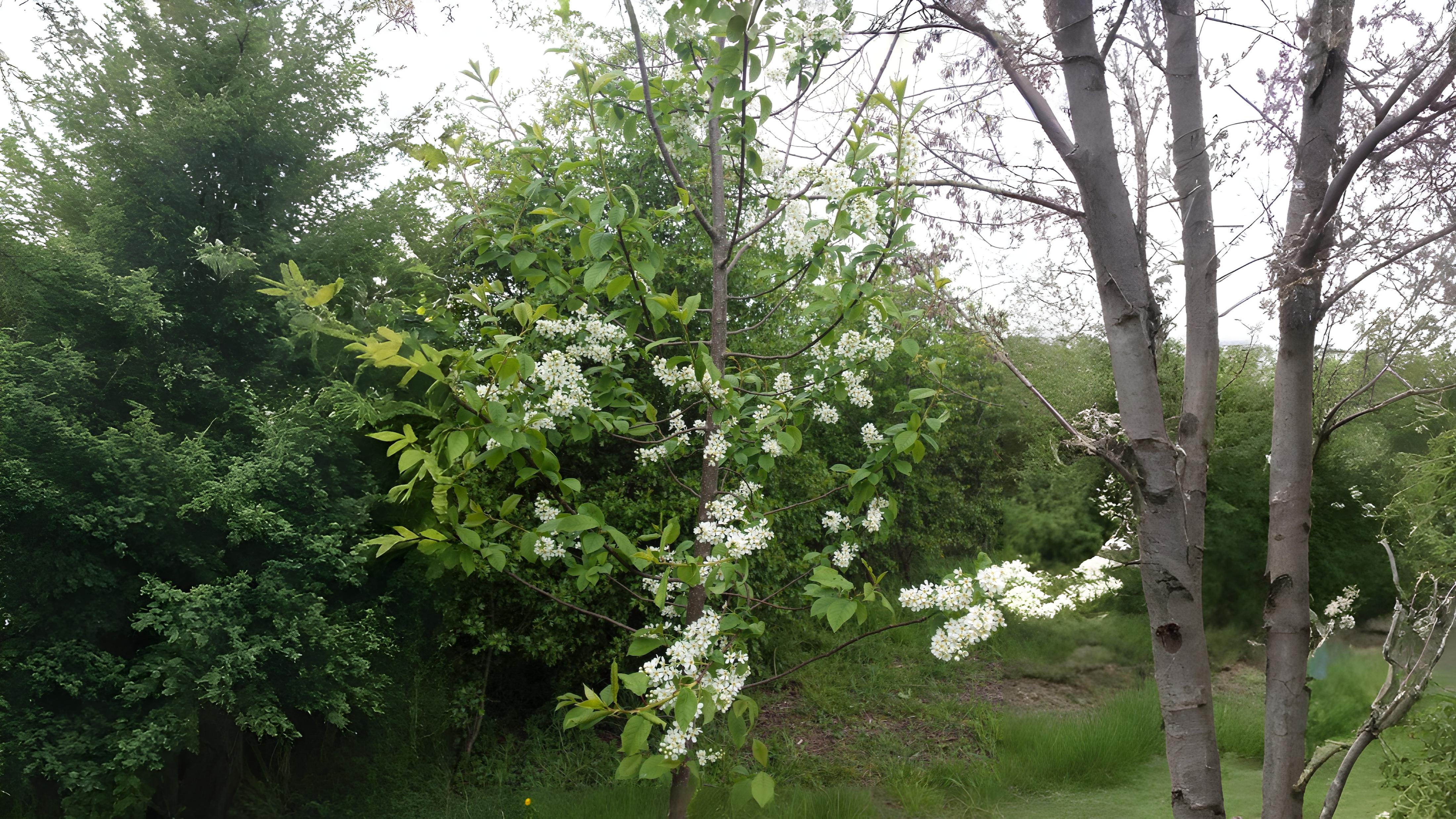 27-Apr London’s April Perfume Trail Section Image