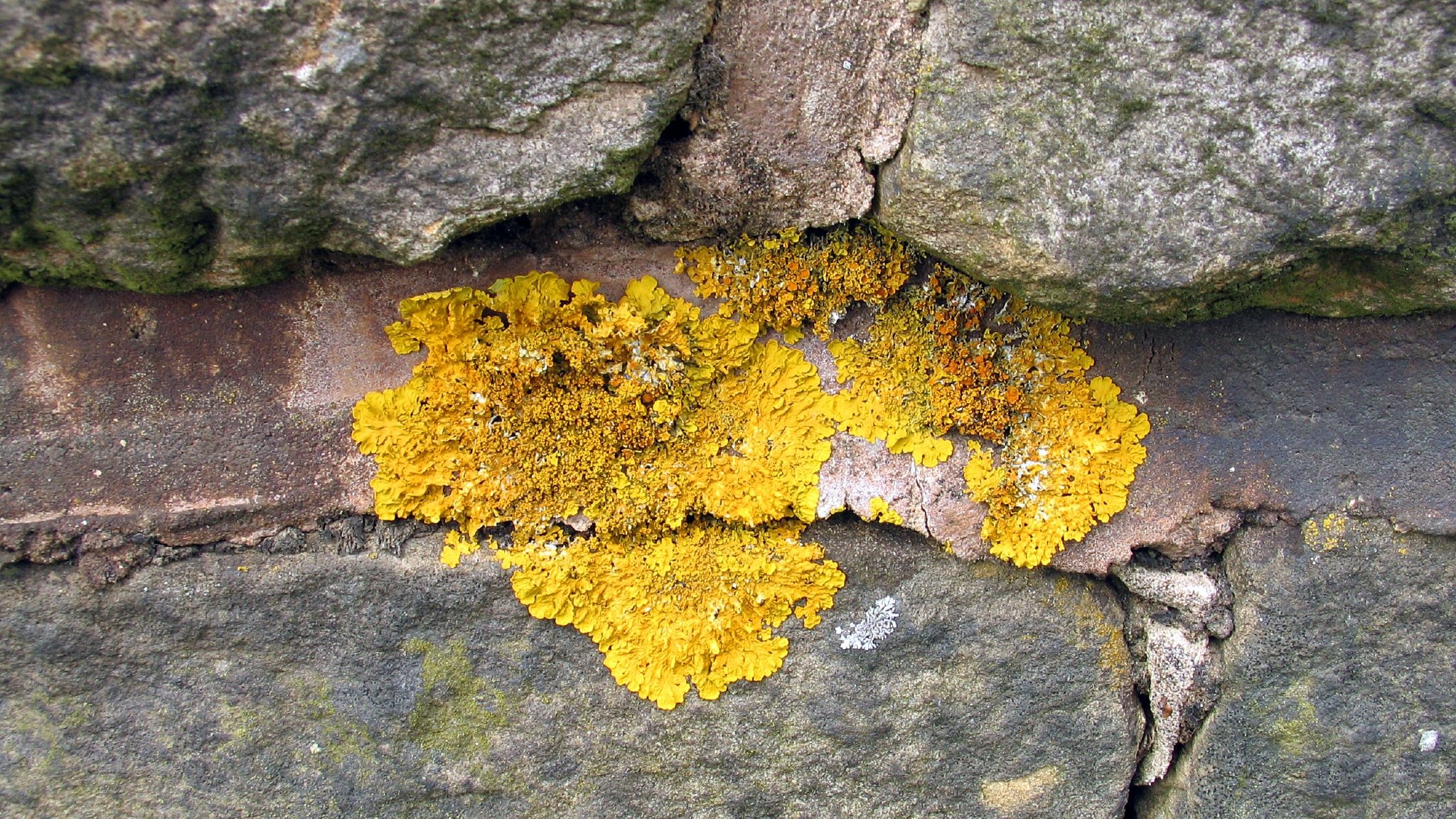 29-Jan Cold Weather Curiosities Section Image