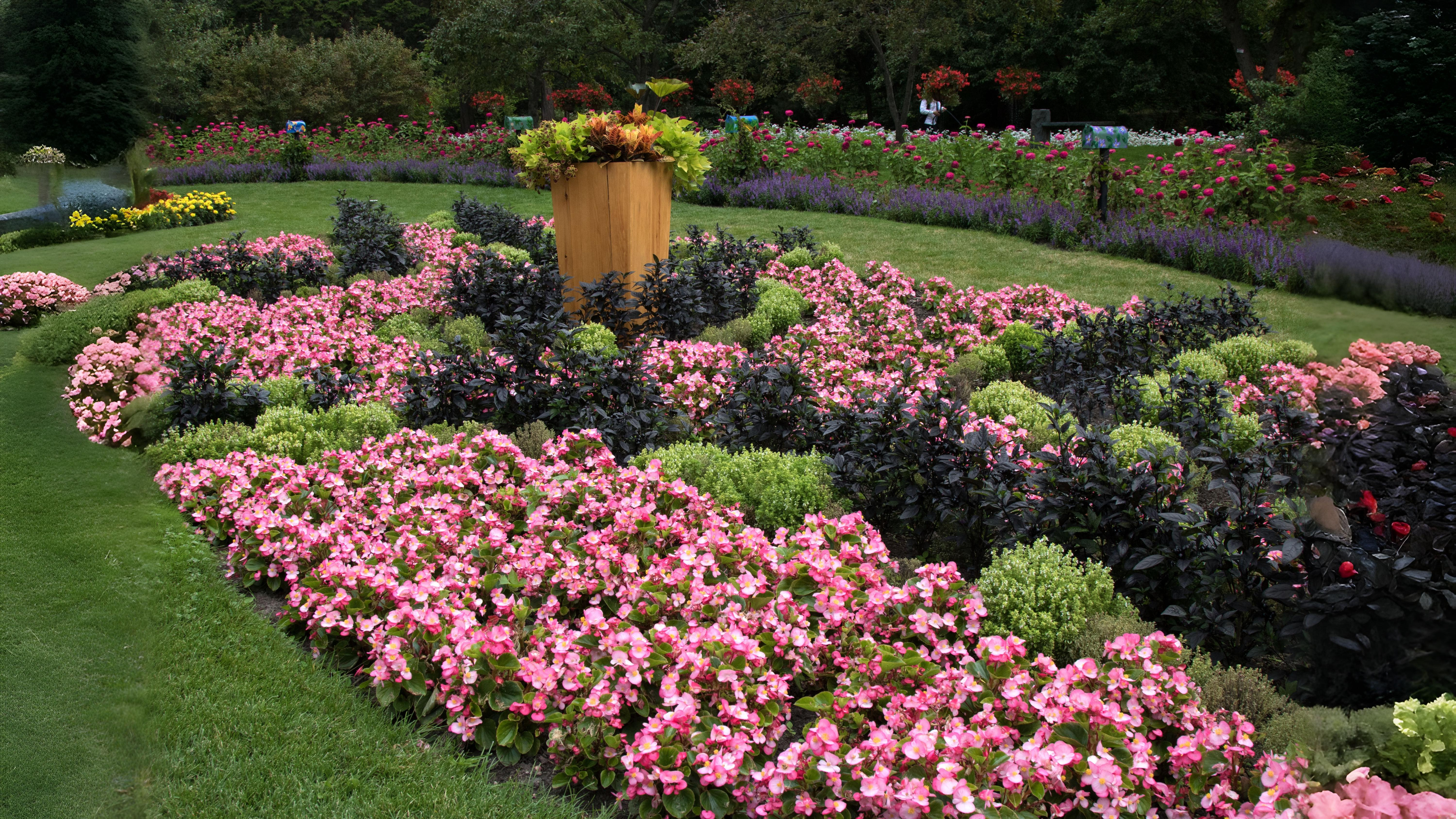 15-July London’s Garden Revolution Section Image