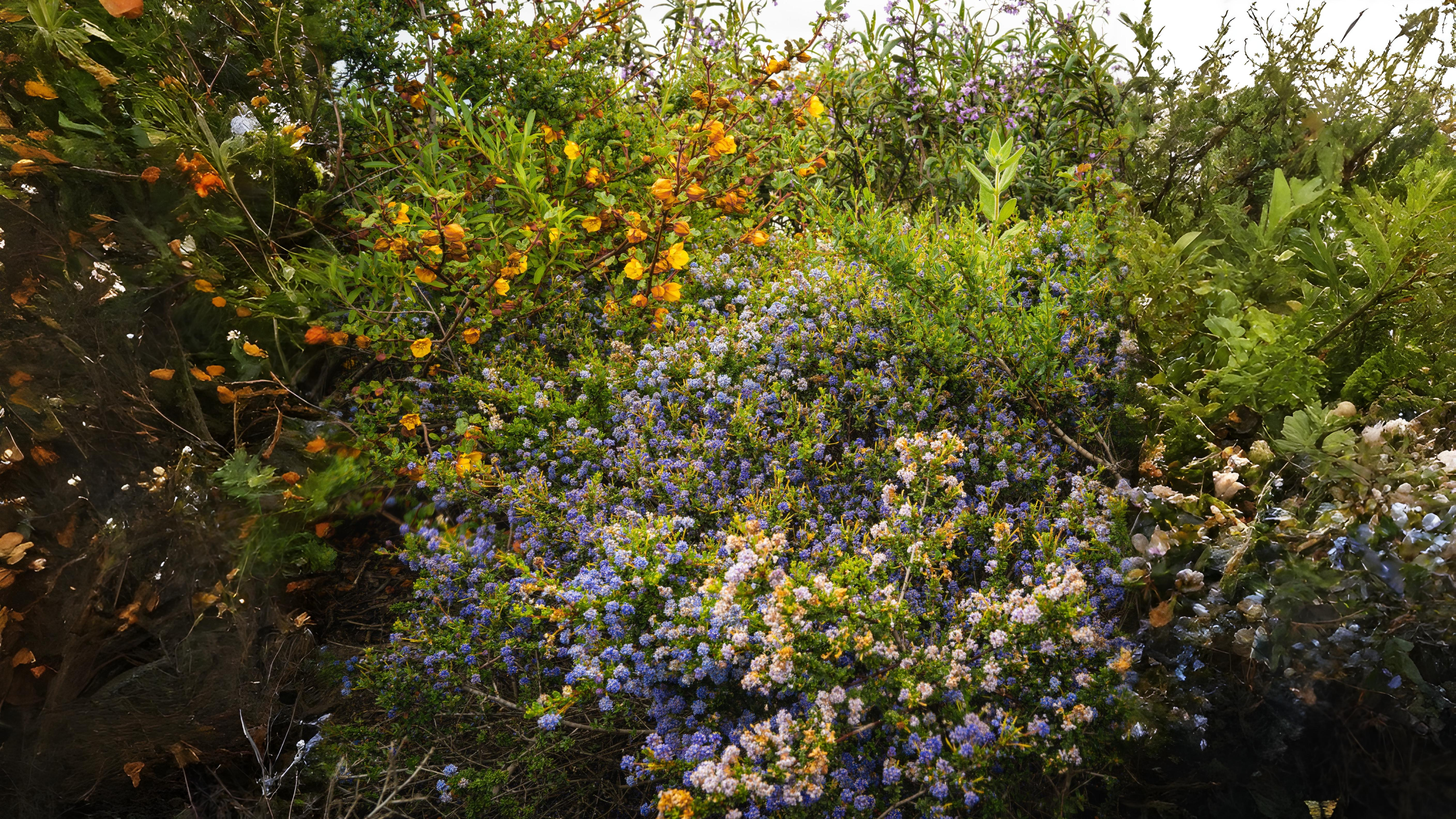 17-July Leaves, Fruits & Shrubs: London’s Quiet Summer Shift Section Image