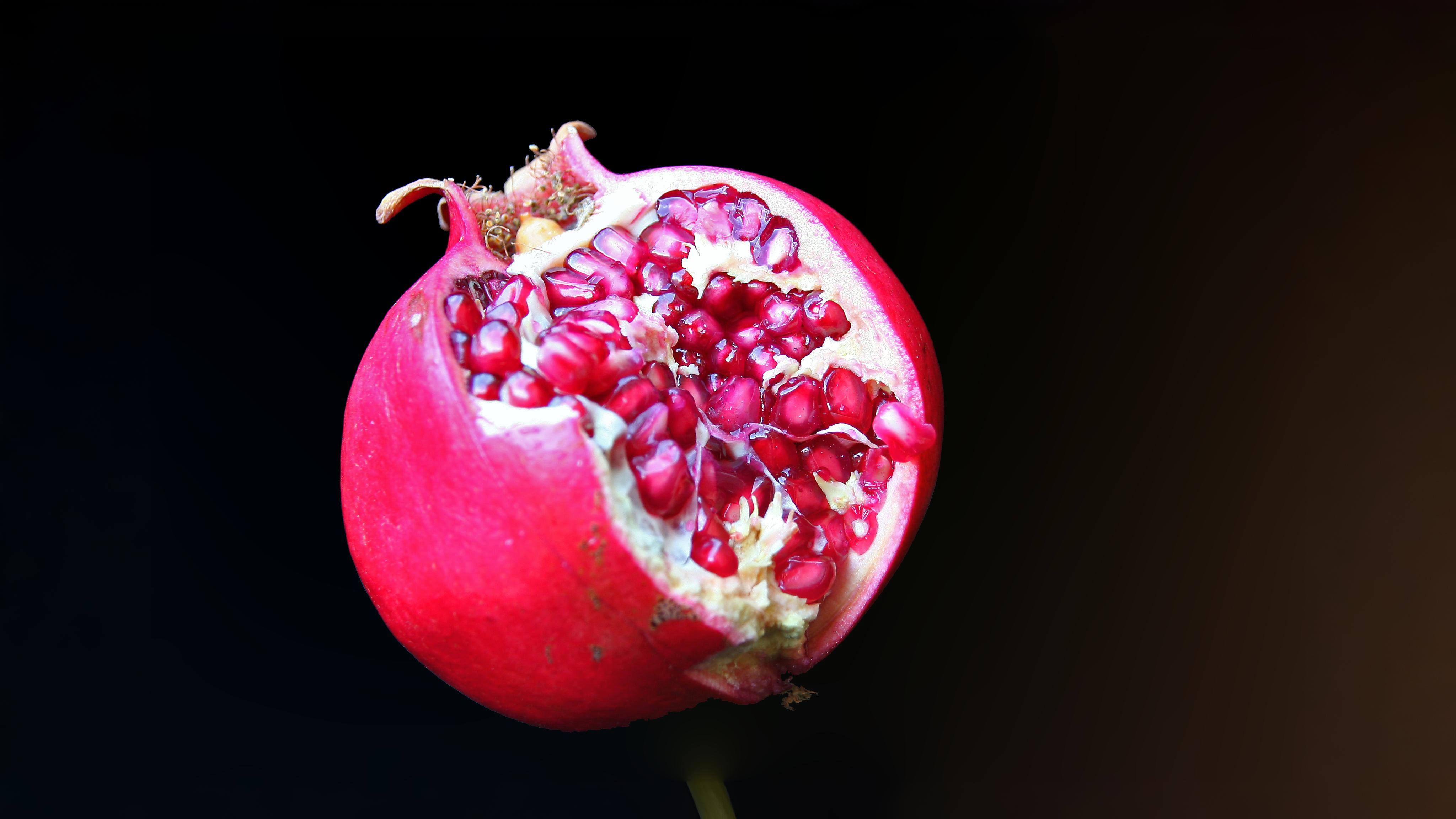 17-July Leaves, Fruits & Shrubs: London’s Quiet Summer Shift Section Image